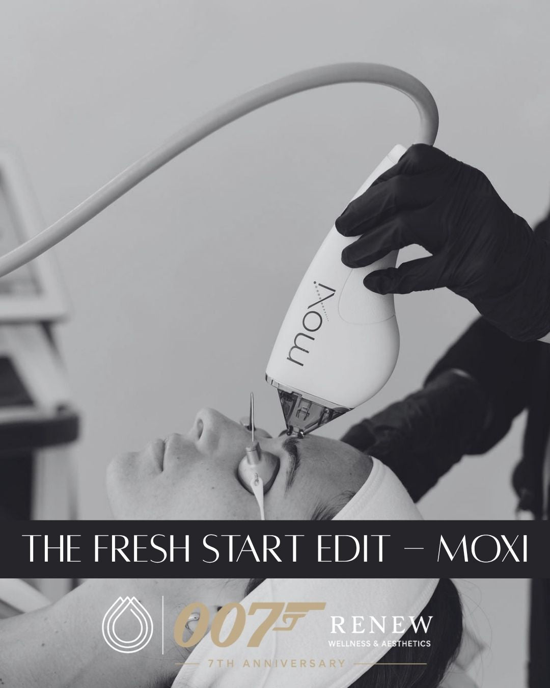 The Fresh Start Edit - Moxi